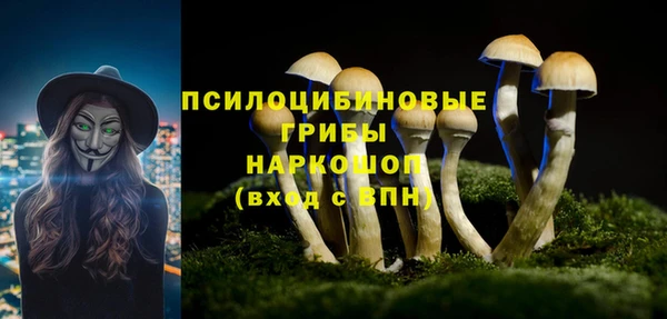 кристаллы Богданович