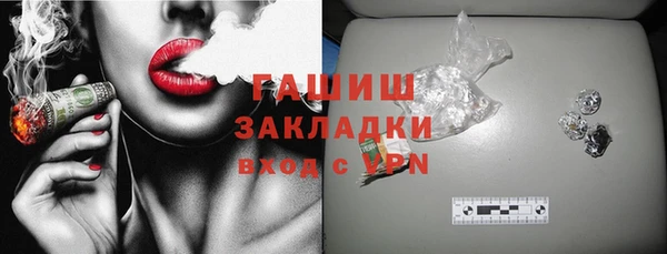spice Богородицк