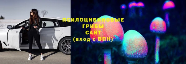 spice Богородицк