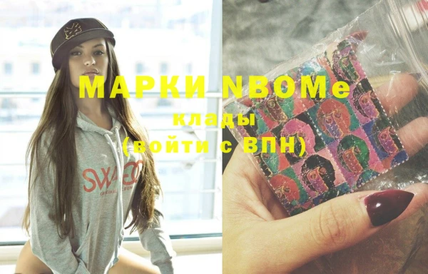 spice Богородицк