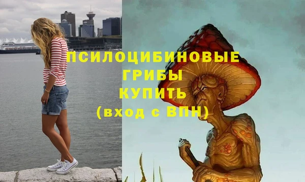индика Белоозёрский