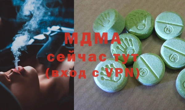 spice Богородицк