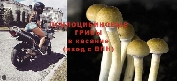 синтетический гашиш Белокуриха