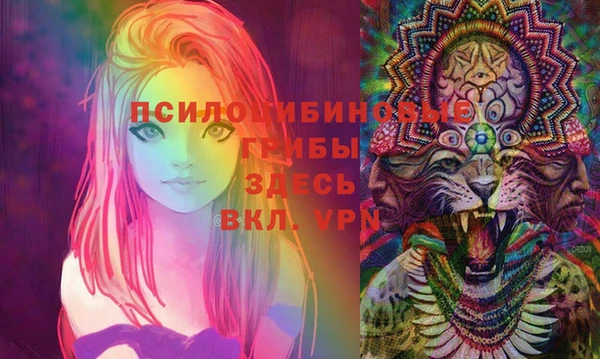 spice Богородицк