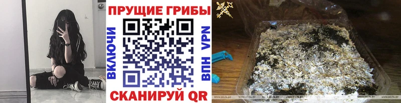 Галлюциногенные грибы Magic Shrooms Верхотурье